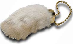 Pata de conejo
